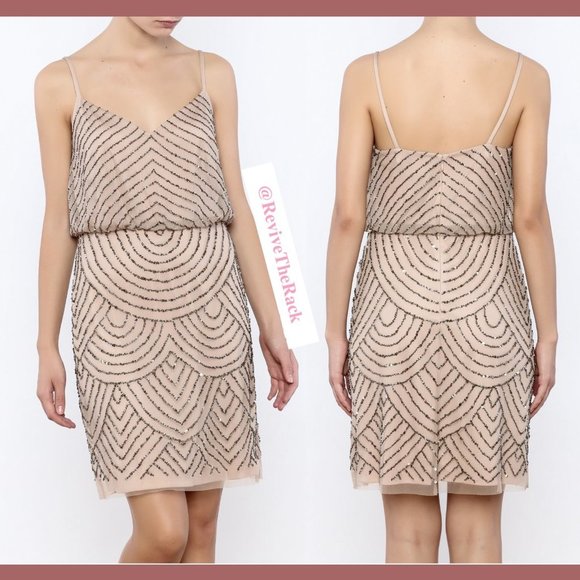 NEW Adrianna Papell Sequin Mesh Blouson Dress in Taupe Pink‎ [SZ 16 ] - Picture 6 of 10
